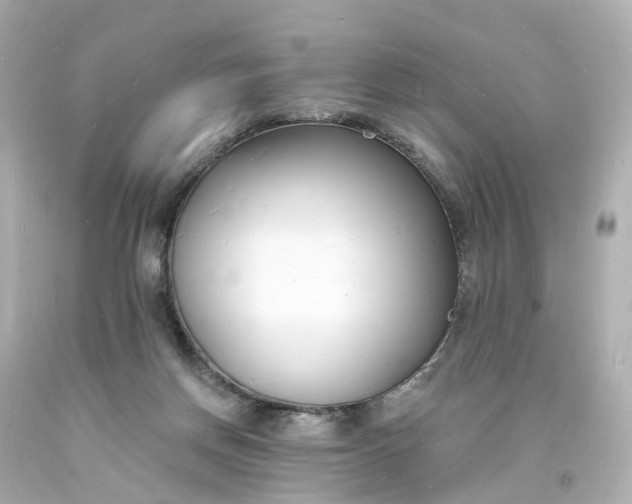 X0000093600166200710291151