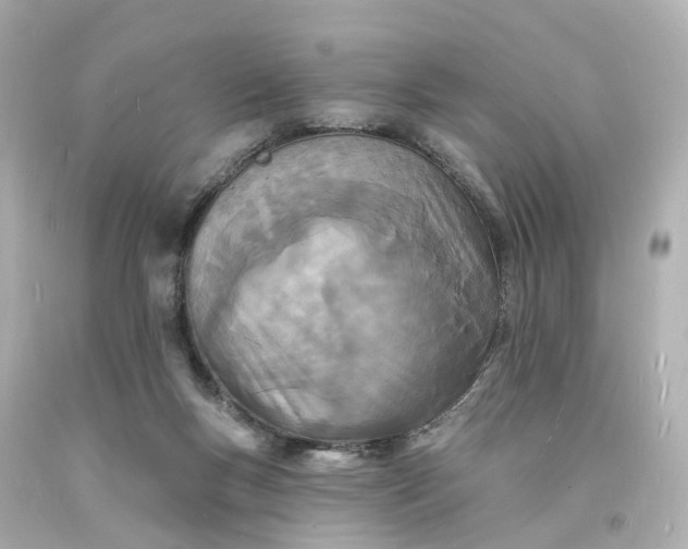 X0000093600167200710291152