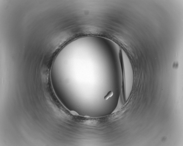 X0000093600168200710291152