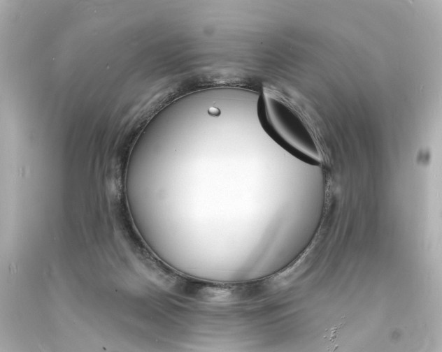 X0000093600170200710291152