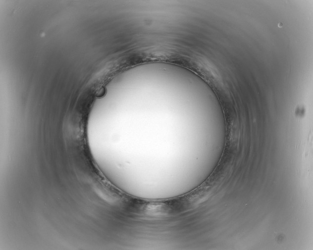 X0000093600173200710291152