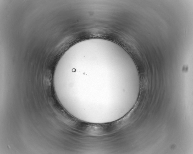 X0000093600174200710291152