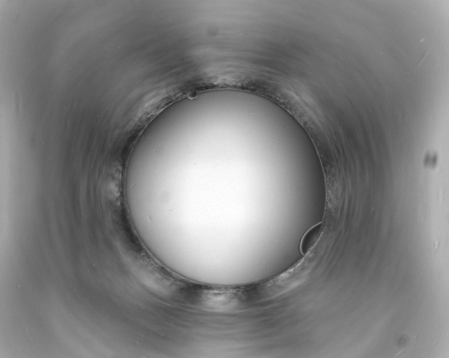 X0000093600175200710291152