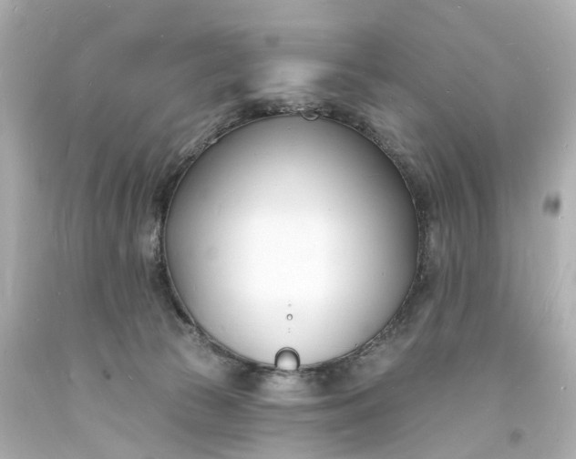 X0000093600177200710291152