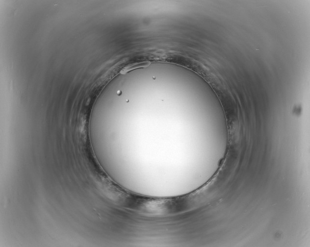 X0000093600178200710291152