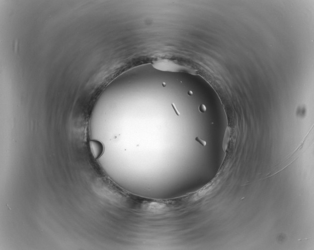 X0000093600180200710291152