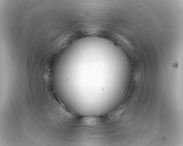 X0000093600181200710291152