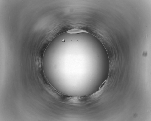 X0000093600182200710291152