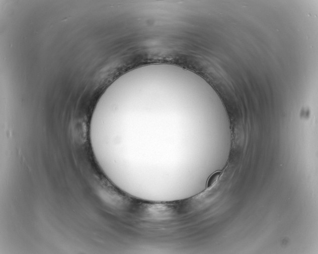 X0000093600183200710291152