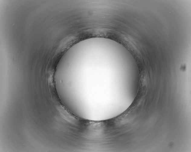 X0000093600185200710291152