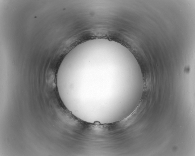 X0000093600187200710291152