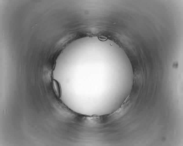 X0000093600188200710291152