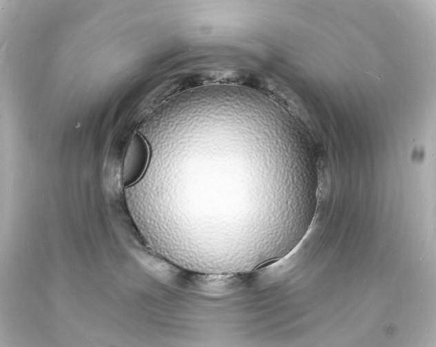 X0000093600191200710291152