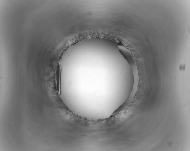 X0000093600192200710291152