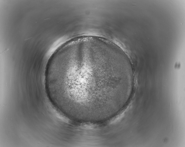 X0000093600199200710291151