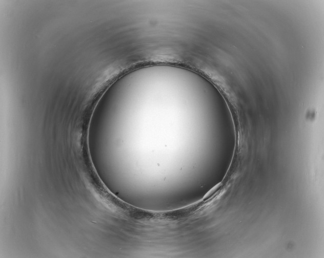 X0000093600201200710291151