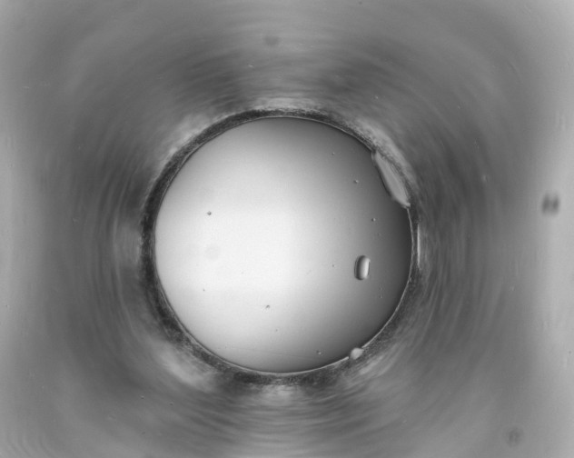 X0000093600204200710291151