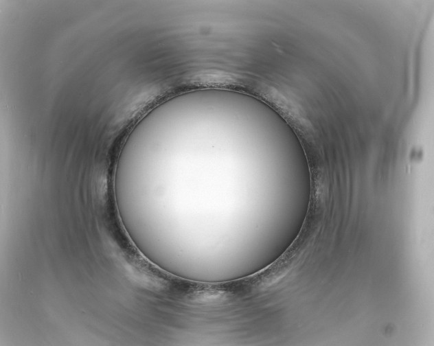 X0000093600206200710291151