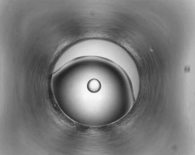 X0000093600207200710291151