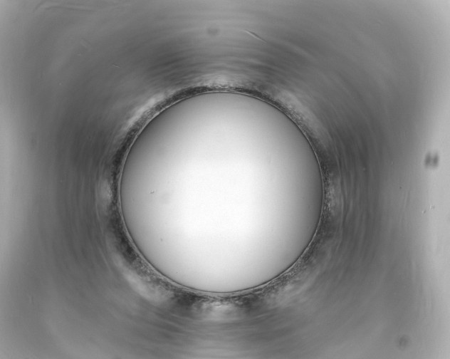 X0000093600208200710291151