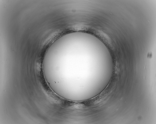 X0000093600210200710291151