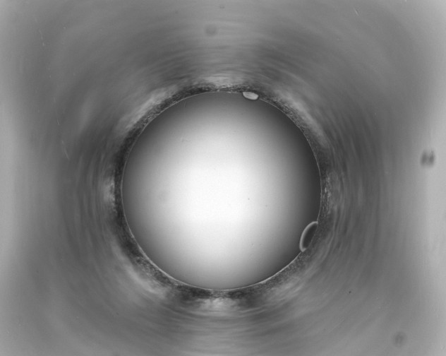 X0000093600212200710291151