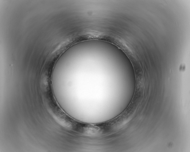 X0000093600215200710291151