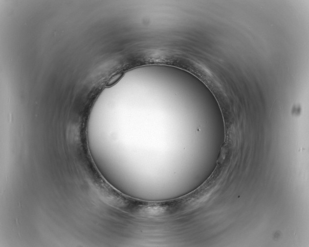 X0000093600217200710291151