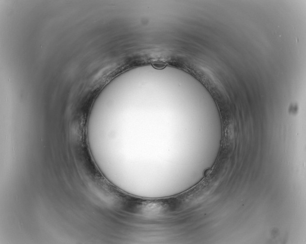 X0000093600218200710291151