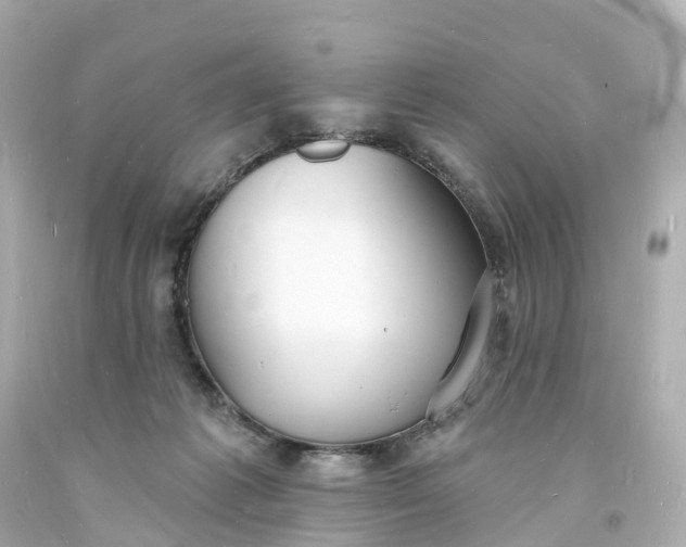 X0000093600221200710291151