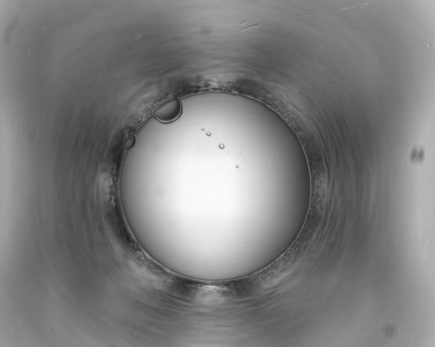 X0000093600222200710291151