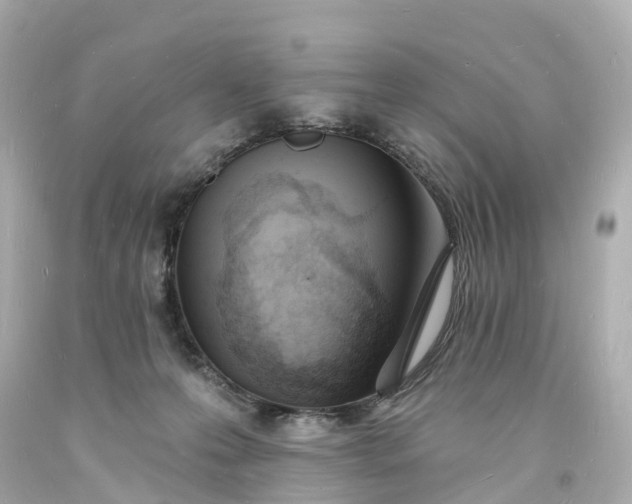 X0000093600223200710291151