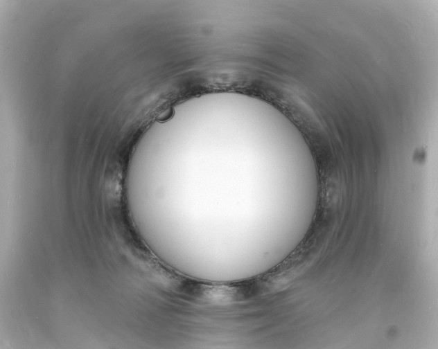 X0000093600226200710291151