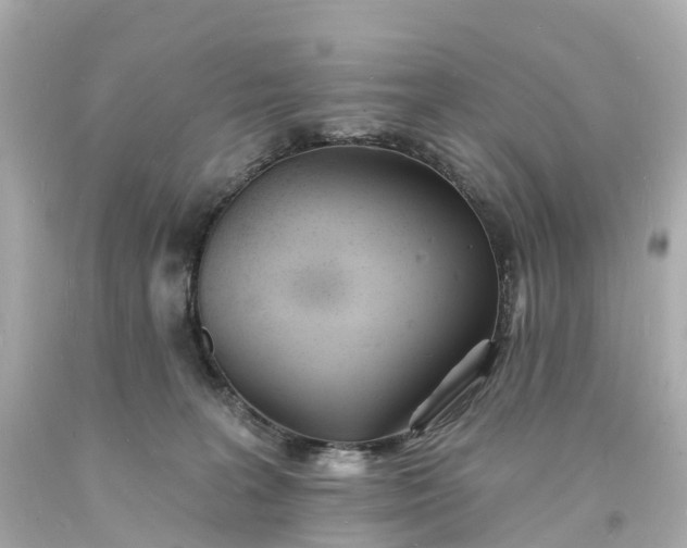 X0000093600227200710291151