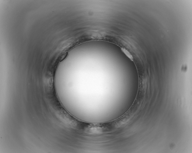 X0000093600228200710291151