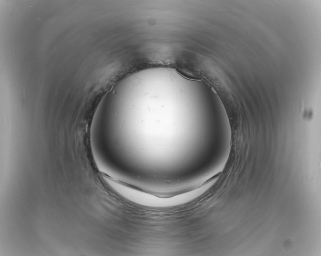 X0000093600229200710291151