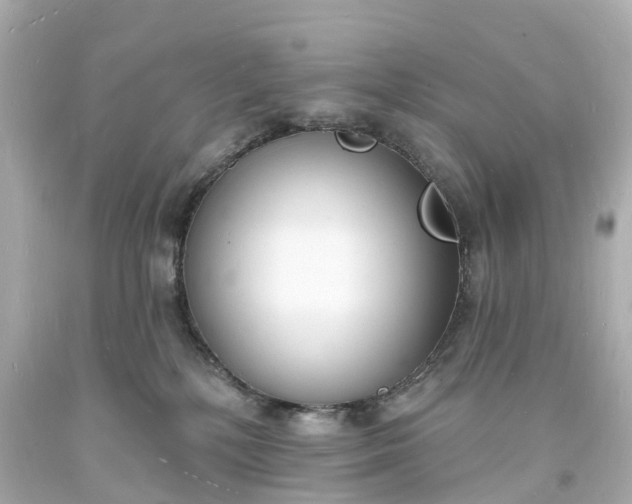 X0000093600232200710291151