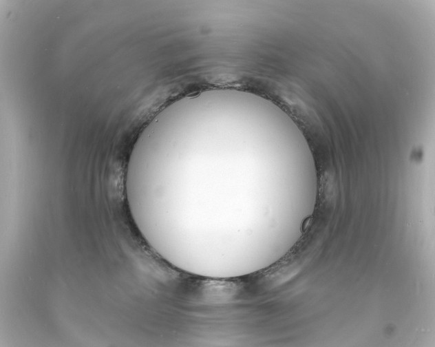 X0000093600234200710291151