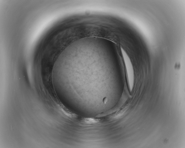 X0000093600239200710291150