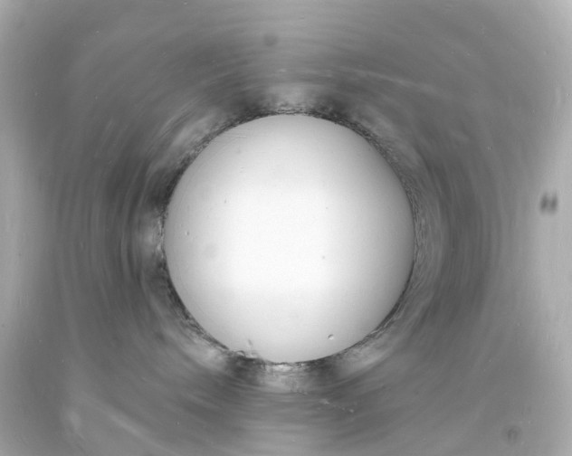 X0000093600240200710291150