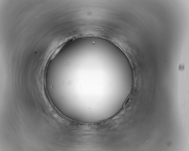 X0000093600241200710291150