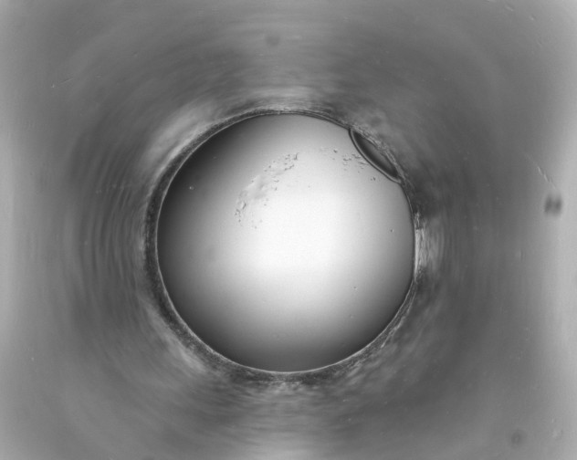 X0000093600243200710291150