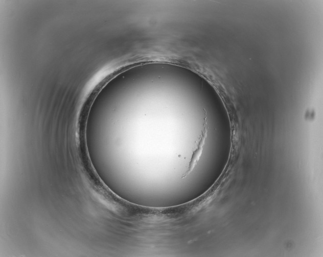 X0000093600246200710291150