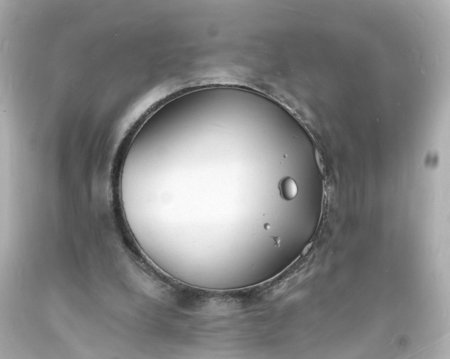 X0000093600248200710291150