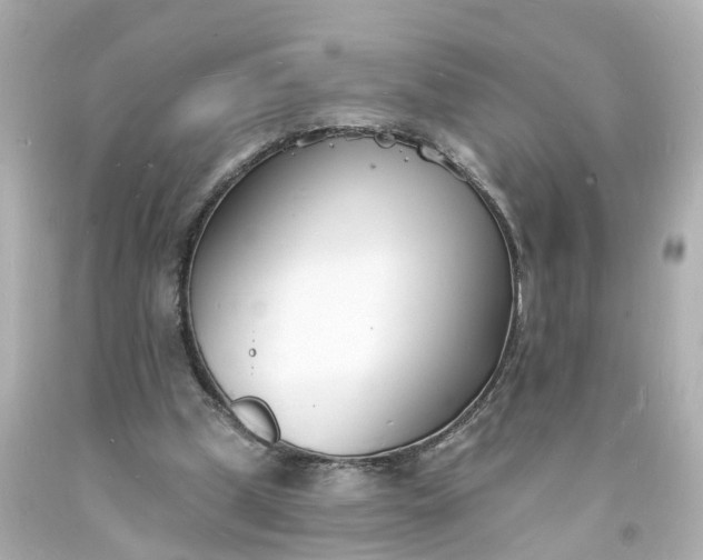 X0000093600249200710291150