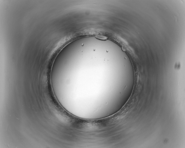 X0000093600250200710291150