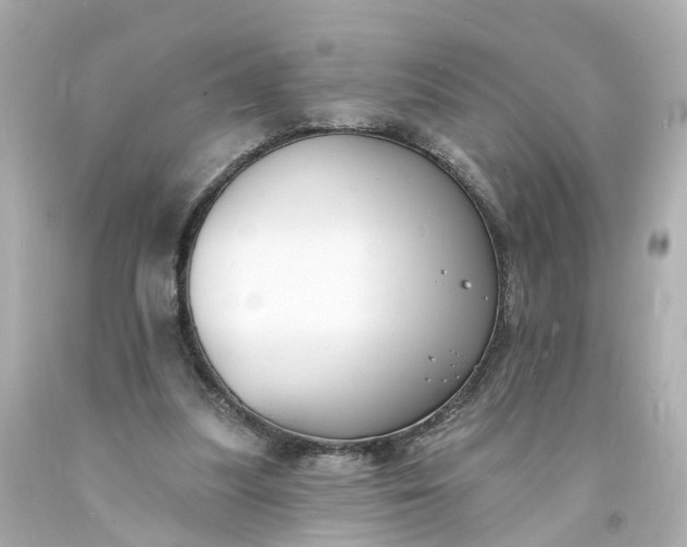 X0000093600251200710291150