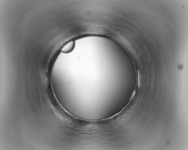 X0000093600252200710291150