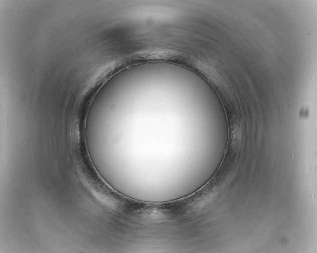 X0000093600254200710291150