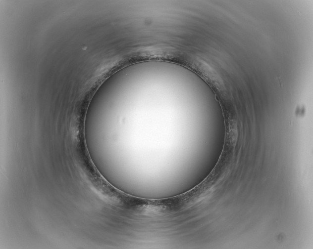 X0000093600255200710291150